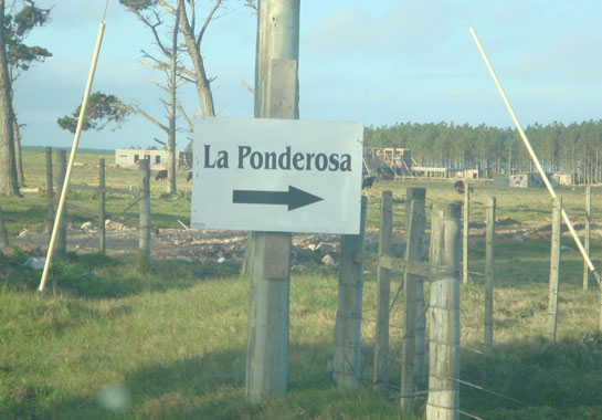 PONDEROSA